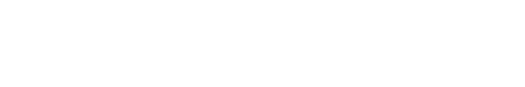 G.I. Segurança